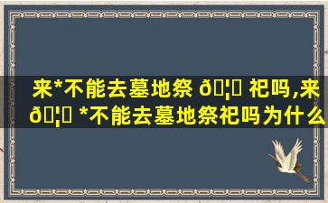 来*
不能去墓地祭 🦊 祀吗,来 🦁 *
不能去墓地祭祀吗为什么